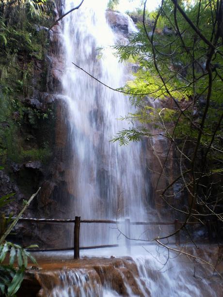 BOBÓ DE CAMARÃO #CocinasdelMundoBrasil