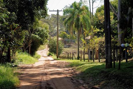 BOBÓ DE CAMARÃO #CocinasdelMundoBrasil