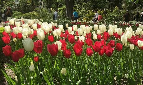 Plan Recomendado: Florecer de Tulipanes – Real Jardín Botánico de Madrid