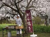 amor vida: pastelería Tokio (Naomi Kawase)