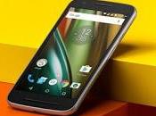 Moto Plus