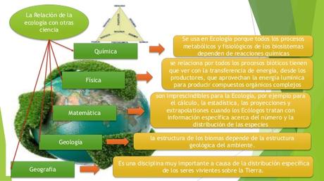Ecología y Ecologismo