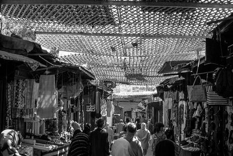 CAP. 49 . . . . . . . . . . . . . . . . . . . . . . . . . . . . . . Andanzas y tropezones de Dikembe Biyombo