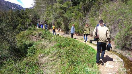 Alcover (Tarragona): Museu d'Alcover, cerveza Rosita, Mas Can Forès i Niu de l'Àliga