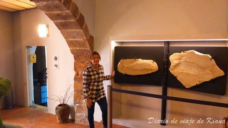 Alcover (Tarragona): Museu d'Alcover, cerveza Rosita, Mas Can Forès i Niu de l'Àliga