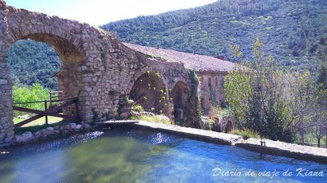 Alcover (Tarragona): Museu d'Alcover, cerveza Rosita, Mas Can Forès i Niu de l'Àliga