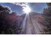 Alcover (Tarragona): Museu d'Alcover, cerveza Rosita, Forès l'Àliga