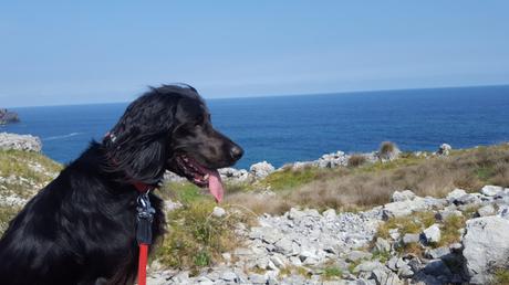 Ruta con perro: Andrín-El Cobijeru (Oriente de Asturias)