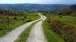 Ruta con perro: Andrín-El Cobijeru (Oriente de Asturias)