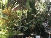 Madrid Colliure, parada fonda Barcelona (I)...