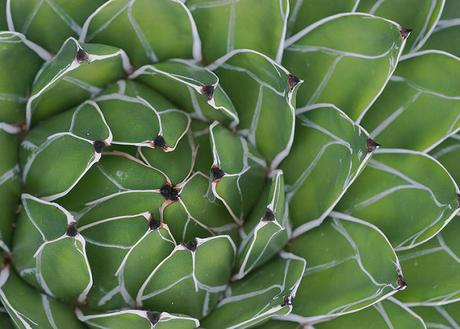 Elogio del laberinto