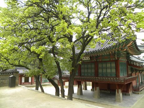 COREA DEL SUR: SEOUL, EL PALACIO CHANGDEOKGUNG Y SU JARDIN SECRETO