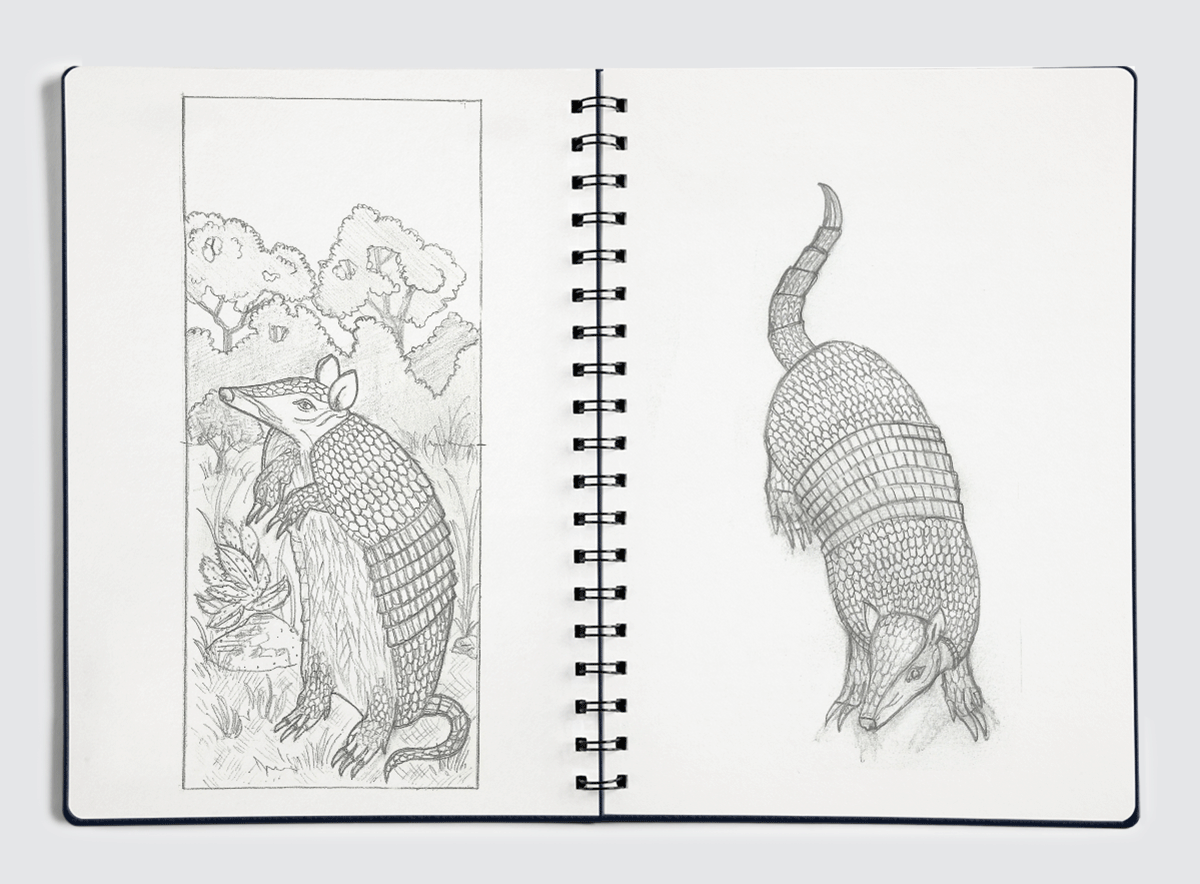 Un colorido rediseño de los billetes de Argentina