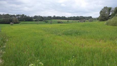 Momentos de esta Semana Santa ( cosas bonitas)