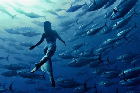 25 espectaculares fotos