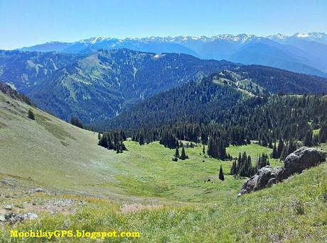 Parque Nacional Olympic (Viaje por el Noroeste de los Estados Unidos XVII)