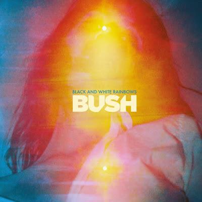 Bush: Un aprobado sin brillo