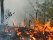 Incendio texcoco afecta comunidades montaña