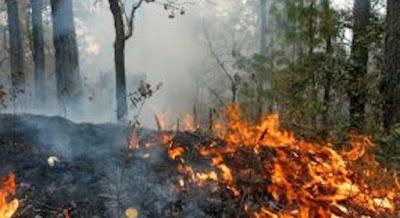 INCENDIO EN TEXCOCO AFECTA A COMUNIDADES DE LA MONTAÑA EN TEXCOCO