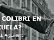 ¿operación colibrí venezuela siglo xxi?