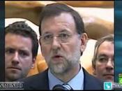 testigo