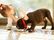 riesgo piensos para mascotas excesivamente baratos