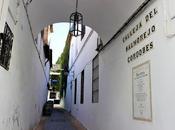 Calleja Salmorejo Cordobés
