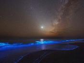 Brillos Nocturnos golfo Oman