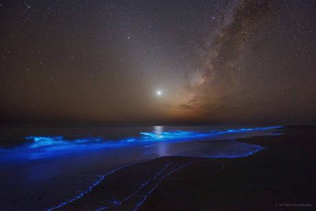Brillos Nocturnos en el golfo de Oman