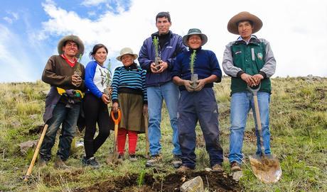 Sembrando el futuro en Chamaca: Plantan más de 730 mil árboles como plan de reforestación