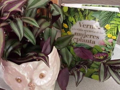 Verne y la vida secreta de las mujeres planta (Ledicia Costas)