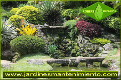 Esta primavera realza la belleza de tu jardín con Robert Jardineros