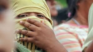 Guerrero (Documental)