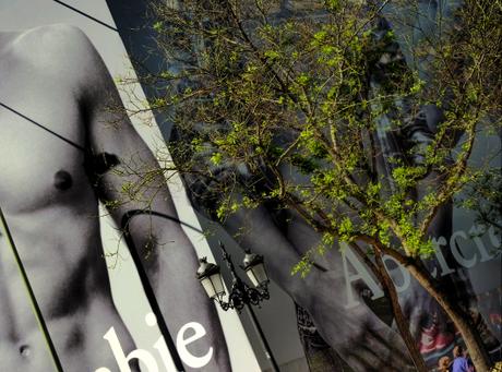 Il Venerdí di Photosatriani N. 102