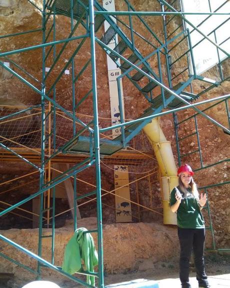 Atapuerca, Alubias de Juarros, Salas de los Infantes, Árbol fósil de Matalaguna y Costalomo Atapuerca, Alubias de Juarros, Salas de los Infantes, Árbol fósil de Matalaguna y Costalomo