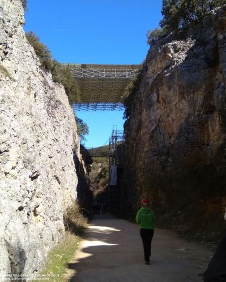 Atapuerca, Alubias de Juarros, Salas de los Infantes, Árbol fósil de Matalaguna y Costalomo Atapuerca, Alubias de Juarros, Salas de los Infantes, Árbol fósil de Matalaguna y Costalomo