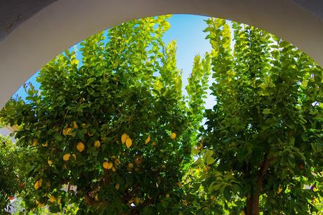 Colegio de Infantes. Guadalupe