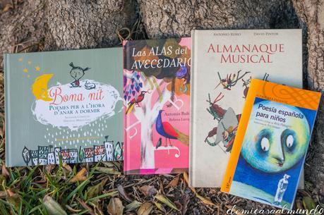 La media hora sagrada antes de ir a dormir DSC04985