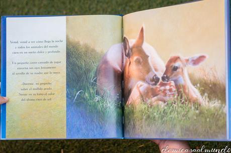 La media hora sagrada antes de ir a dormir DSC04989