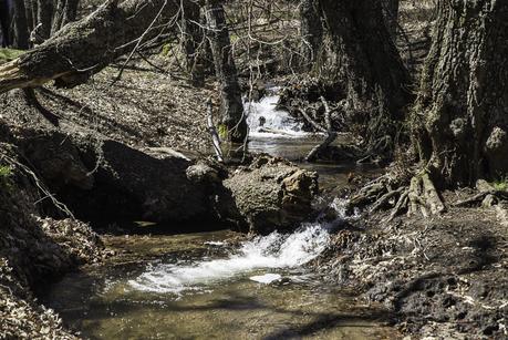 El Castañar del Tiemblo en la Sierra de Gredos