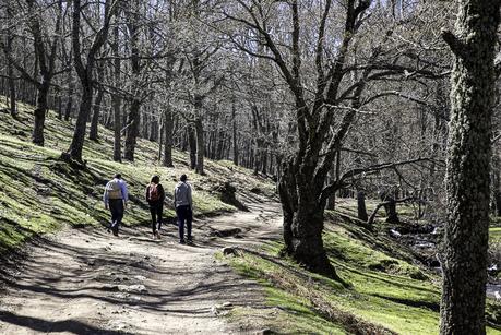 El Castañar del Tiemblo en la Sierra de Gredos