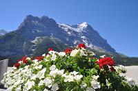 Zermatt y Gornergrat