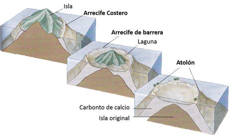 Tipos de arrecifes