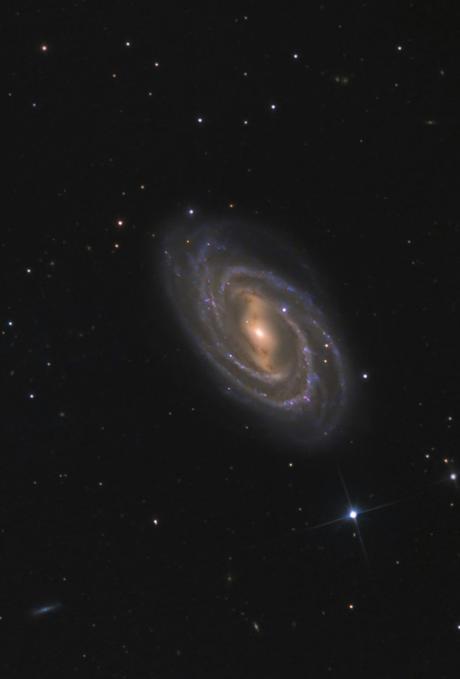 ✨M109 desde Mano Prieto Observatory ✨M109 desde Mano Prieto Observatory