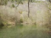 Ribes Freser Bassa Manyo