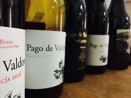 Vinos Valtuille [En las entrañas del Bierzo]