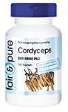 120 cápsulas vegetarianas de cordyceps 650 mg, Cordyceps Sinensis, Sustancia pura y sin aditivos