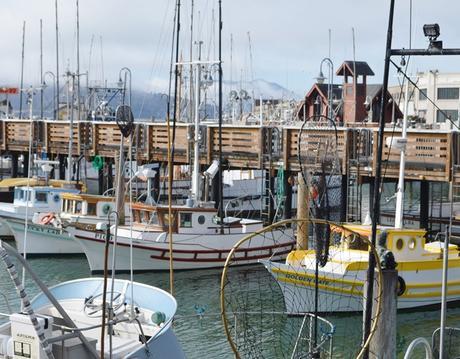 36 muy cortas horas en San Francisco (Parte II)