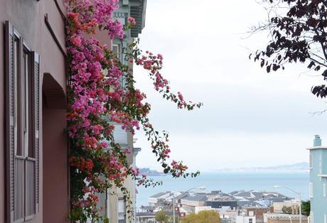 36 muy cortas horas en San Francisco (Parte II)