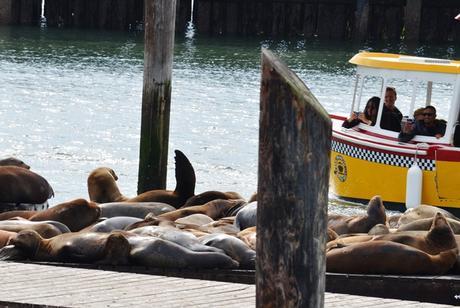 36 muy cortas horas en San Francisco (Parte II)